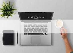 国产无玛,引领绿色出行新潮流