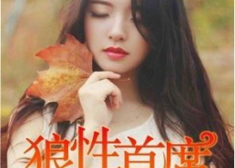 91夜夜欢国产,揭秘神秘夜生活文化盛宴