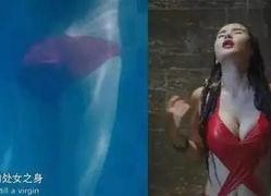 国产三级黄色影视,国产三级影视的隐秘世界