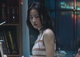 国产熟,匠心独运的味蕾之旅