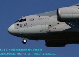 日本亚洲国产,亚洲国度的文化瑰宝与经济引擎